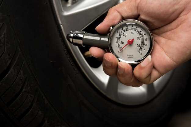 Adapting Gear Ratios to Driver Preferences and Track Characteristics